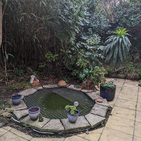 The Garden Apartment St Ives Extérieur photo