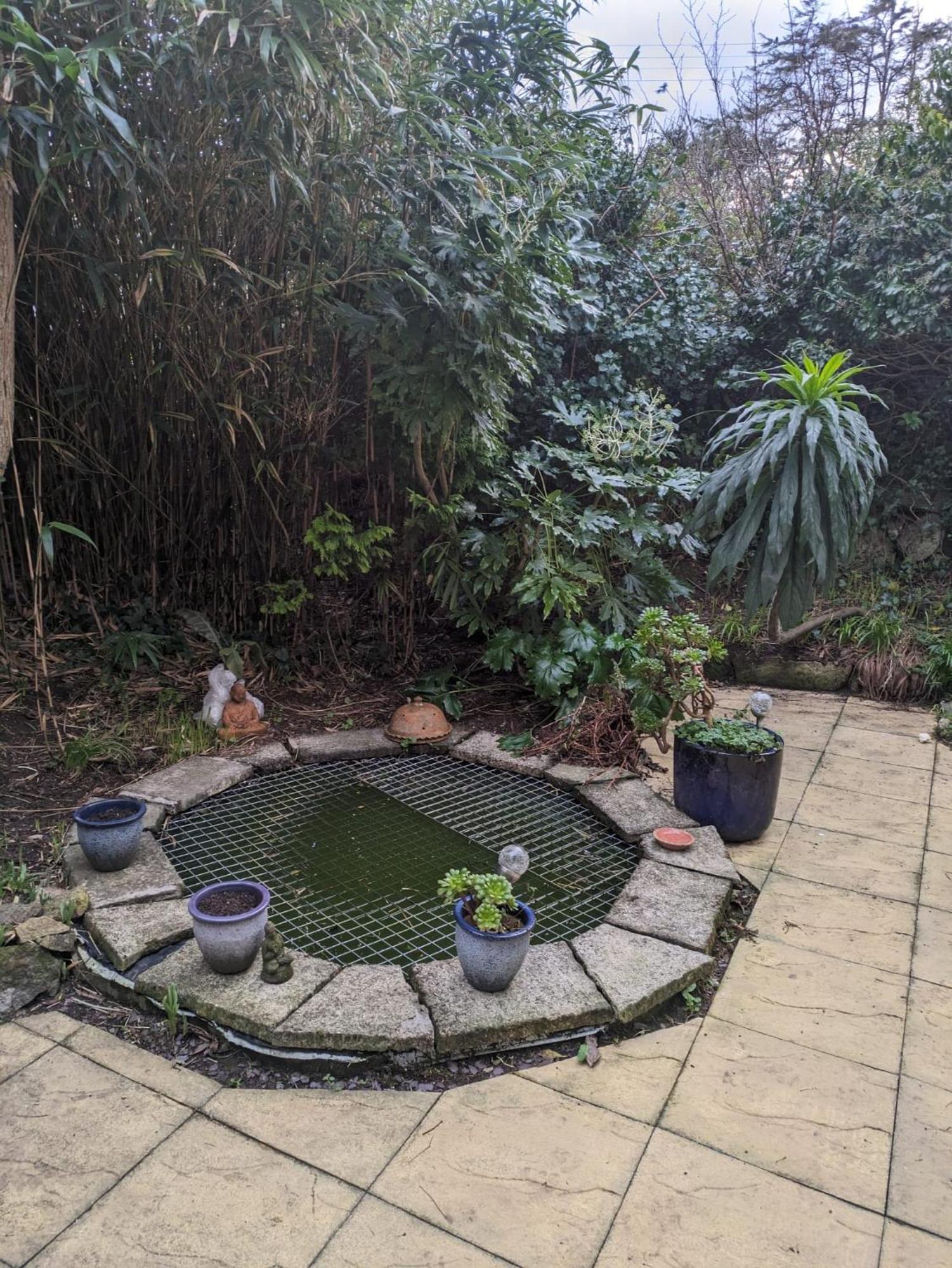 The Garden Apartment St Ives Extérieur photo